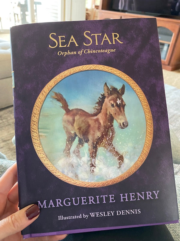 Sea Star Orphan of Chincoteague Marguerite Henry Horse Books