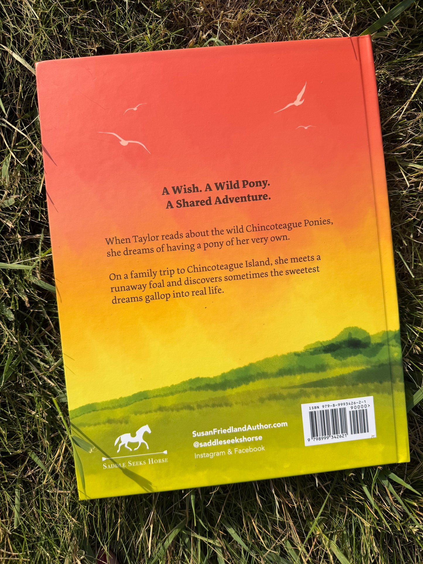 Swirl: My Wild Island Pony (Author Signed Hardcover)