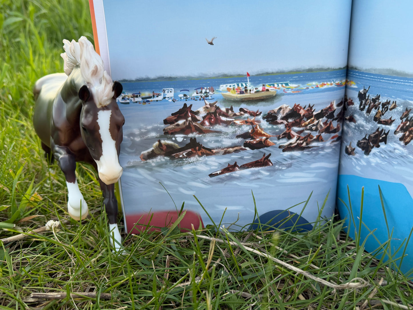 Swirl: My Wild Island Pony (Author Signed Hardcover)